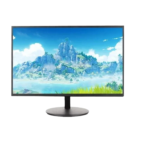 Esonic 19" LED HD Computer Monitor